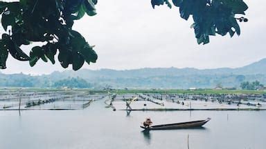 hotels in soccsksargen|Hotels in Soccsksargen .